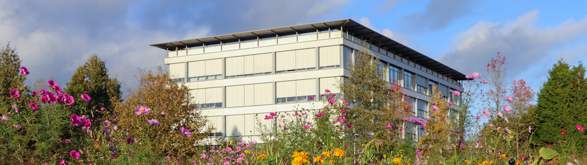 Das Gebäude von Nordfrost